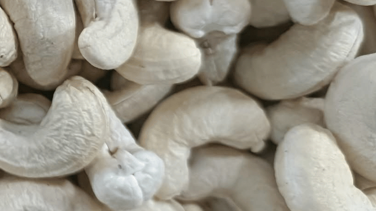 Oven Cashew